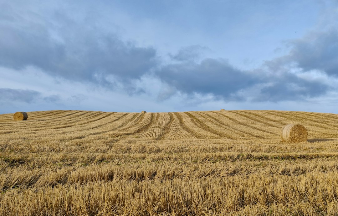 Paisaje rural, imagen ilustrativa de la importancia de la tierra en Entre tierras